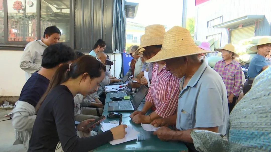 夏振+狮子镇蕲艾收购启动.mp4_snapshot_00.35.663.jpg