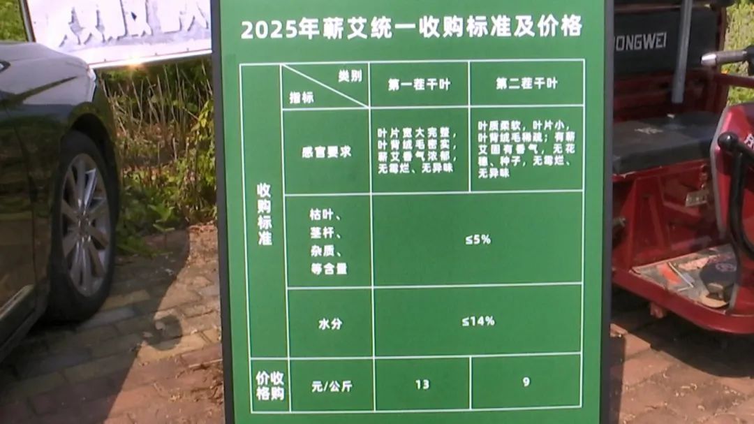 夏振+蕲春：以“艾”兴农+鼓起群众“钱袋子”.mp4_snapshot_01.00.120.jpg