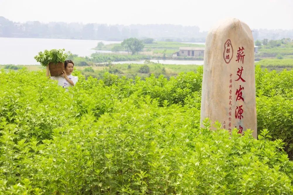 微信图片_20250512144046.jpg